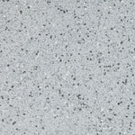 Load image into Gallery viewer, 20 Blizzard - Altro Walkway Safety Flooring
