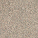 Load image into Gallery viewer, 20 Bone - Altro Walkway Safety Flooring
