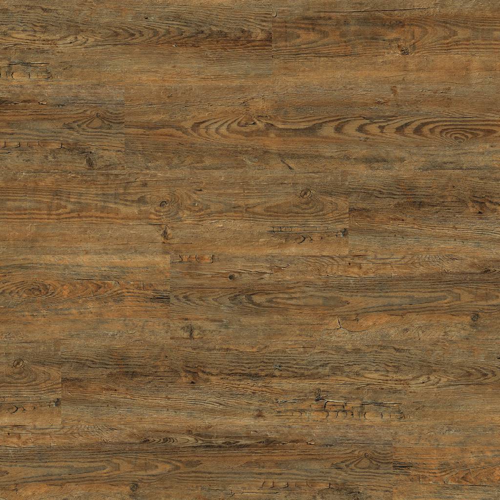 Color-Wild Amber Oak