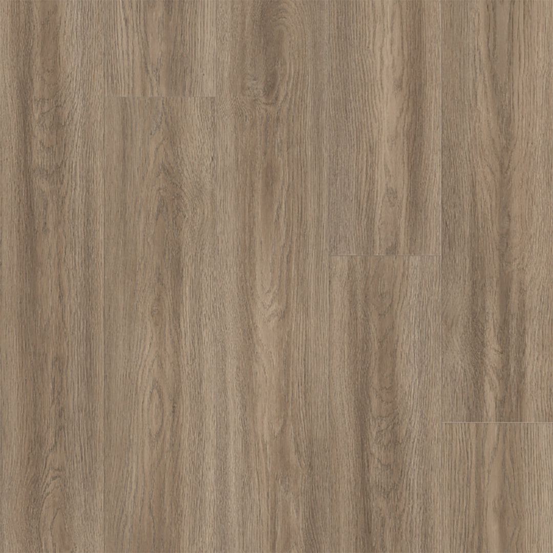 Select Oak - 8mm Alberta Laminate