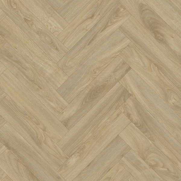 Color-laurel oak