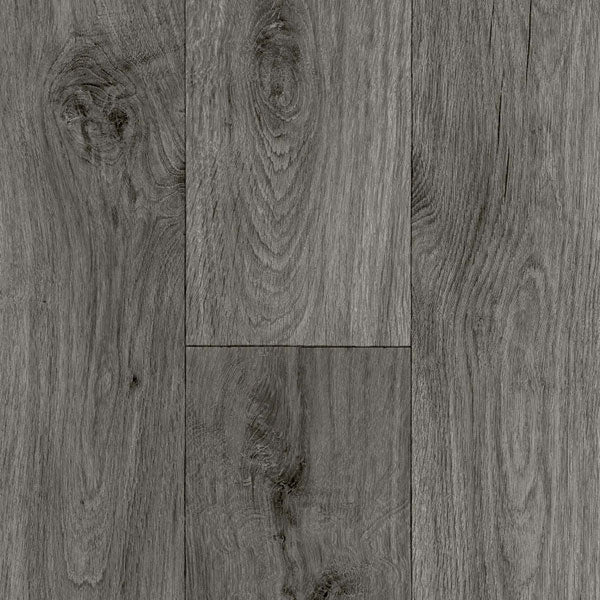 Color-bronyx oak