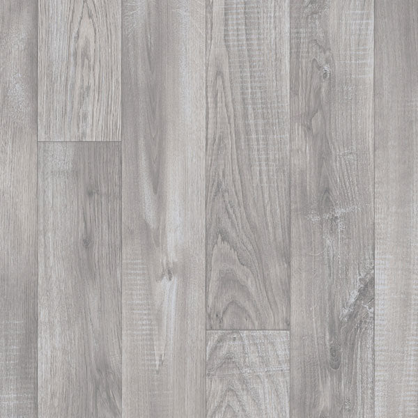 Color-gambel grey oak