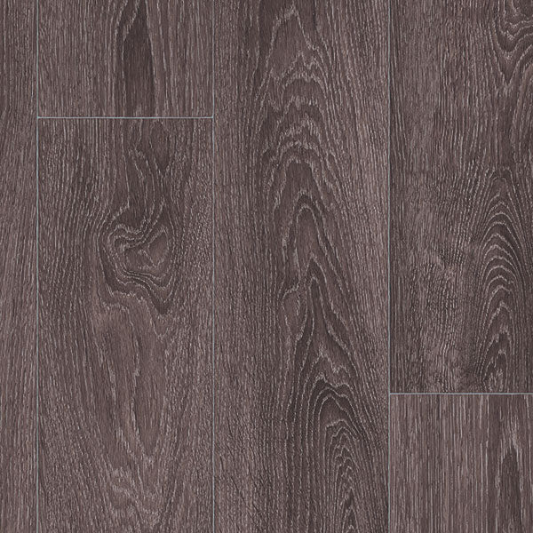 Color-gambel oak