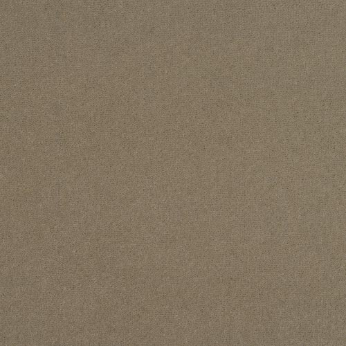 Color-dagmar