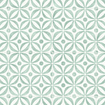Load image into Gallery viewer, Color-emelia 523
