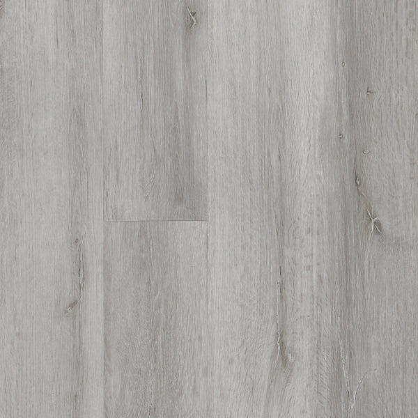 Color-arctic grey