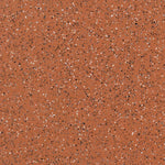 Load image into Gallery viewer, Color-orion
