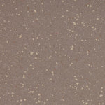 Load image into Gallery viewer, Color-otter
