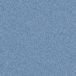 Load image into Gallery viewer, Color-sea-urchin
