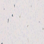 Load image into Gallery viewer, White Sparkle - PVC Wall Panel
