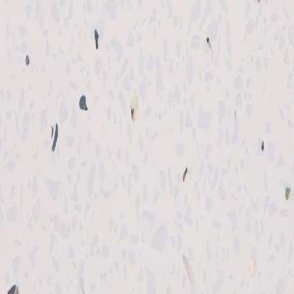 White Sparkle - PVC Wall Panel